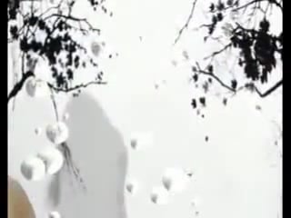 Сандра буллок