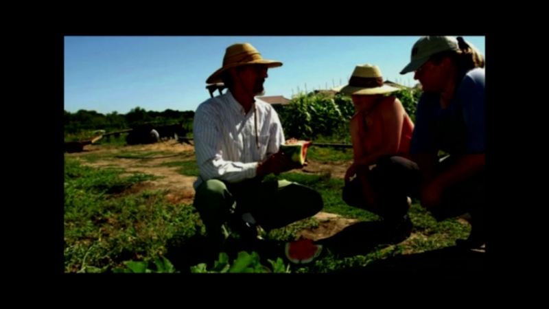 В защиту генной модификации нашей пищи
