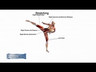 Sls how to spinning hook kick anatomical breakdown taekwondo karate martial arts