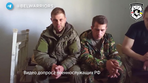 Что рассказали о себе московитские пленные, захваченные бойцами полка калиновского