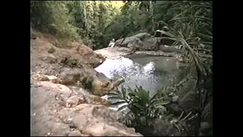 Wide sargasso sea \ широкое саргассово море (1993)