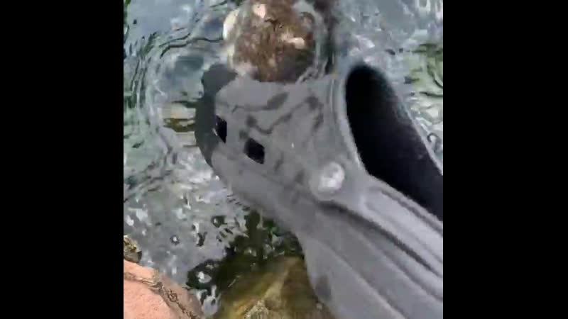 Croc on croc