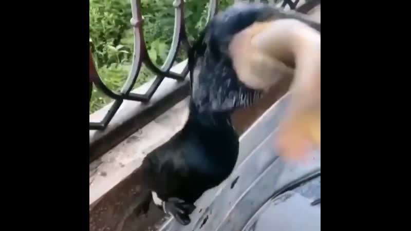 Восьмиклассница