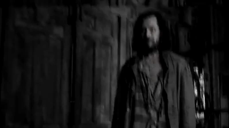 Сириус блэк | sirius black