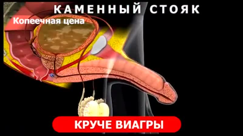 За месяц член вырос на 5 см причем в ширину тоже стал немного больше