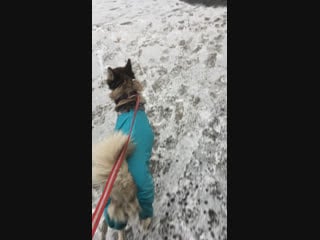 Hailie|maks house live