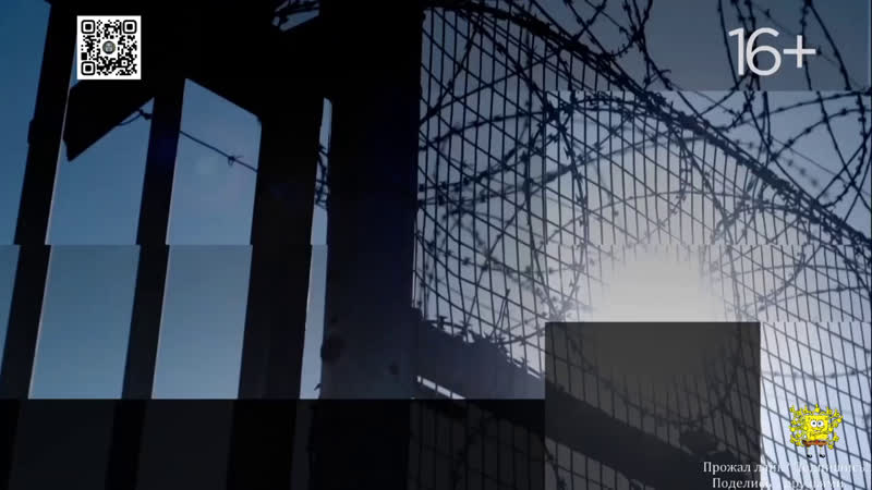 Злоключения за границей (2 я серия колумбийский пленник) (12+)