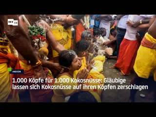 Köpfe für kokosnüsse gläubige lassen sich kokosnüsse auf ihren köpfen zerschlagen