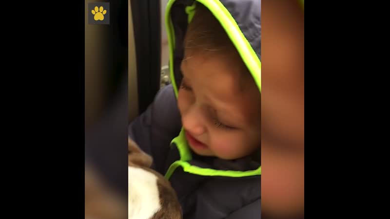 Маленький мальчик воссоединился со своей молодые