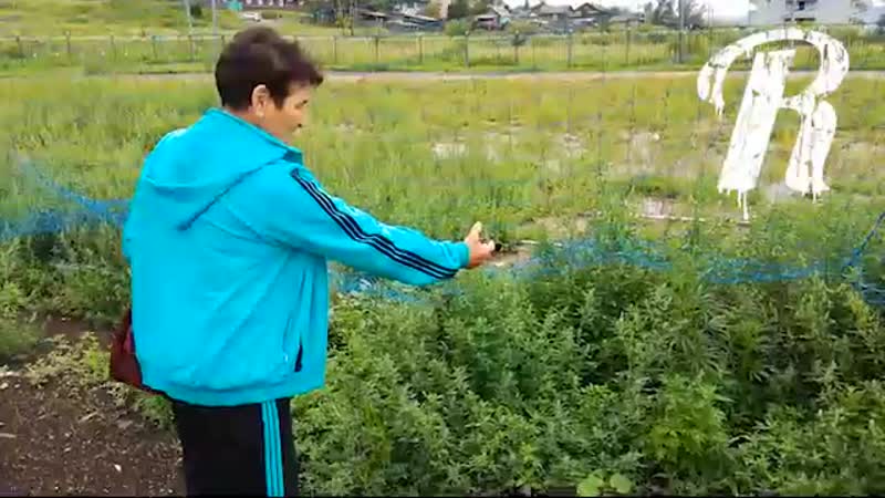 Вписка стадион за 7,5 лямов, мы тренируемся и забиваем, зарос марихуаной, чудо архитектуры, всё лучшее для детей