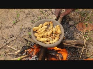 Primitive skills a forest man find big worms and cooked cooking worms natural food