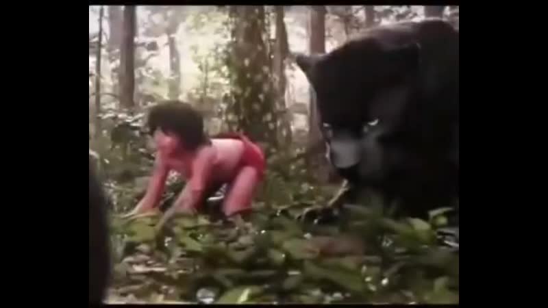 Шокирующее видео, подумайте трижды прежде чем досмотреть до конца!