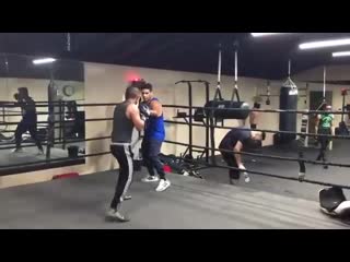 Боксерская тренироа на выносливость на лапах