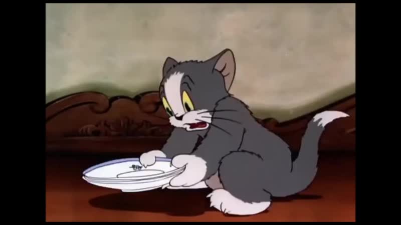 Пилотная серия «том и джери»
