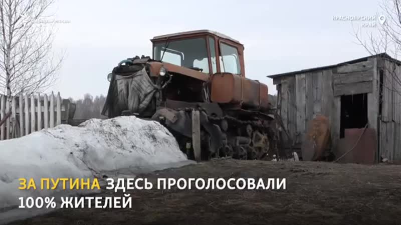 Проголосовали за путина