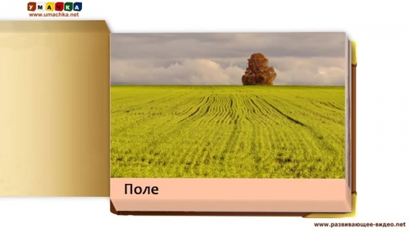 Природа изучаем природу с молодые развивающее видео для детей раннее развитие карточки домана
