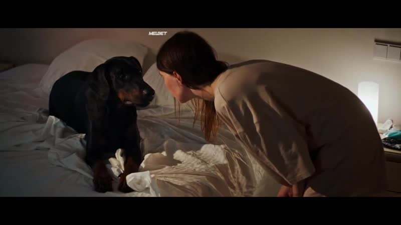 Инстинкт (2019) драма халина рейн