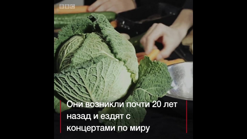 "овощной оркестр" в австрии