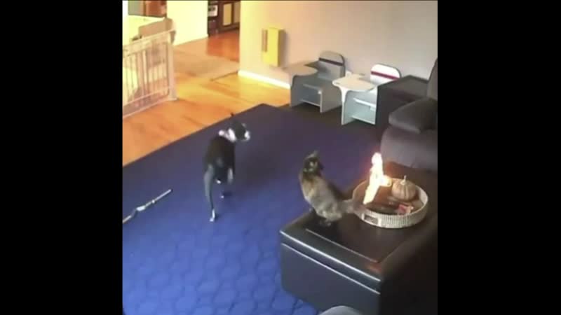 Наташа, горим!