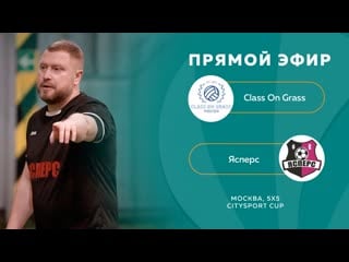 Class on grass ясперс