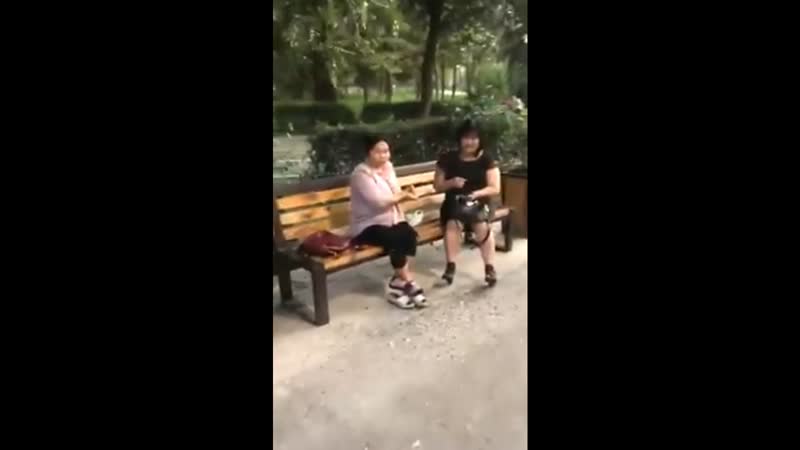 Семечки porn video – Оштрафовали за семечки в парке