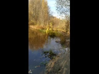 Vid 20201001 100411 mp4