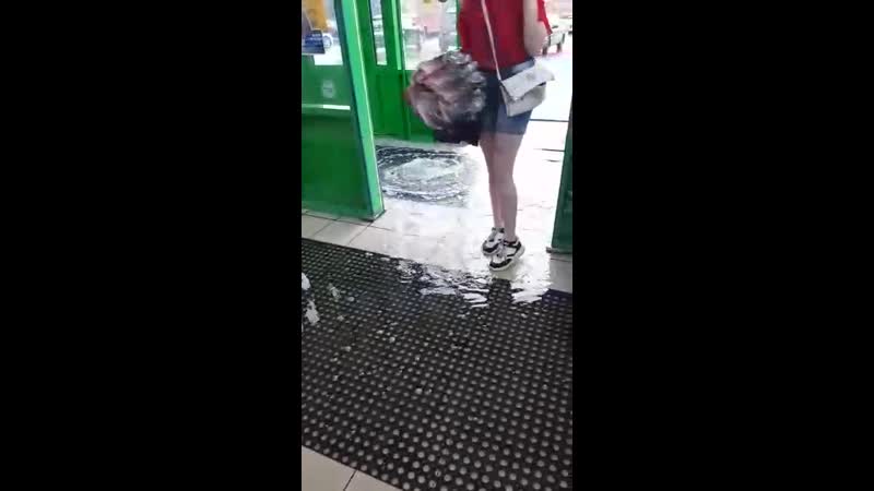 Видео сабины диденко кингисепп, 16 июня 2020 года после ливня "пятёрочка" на карла маркса