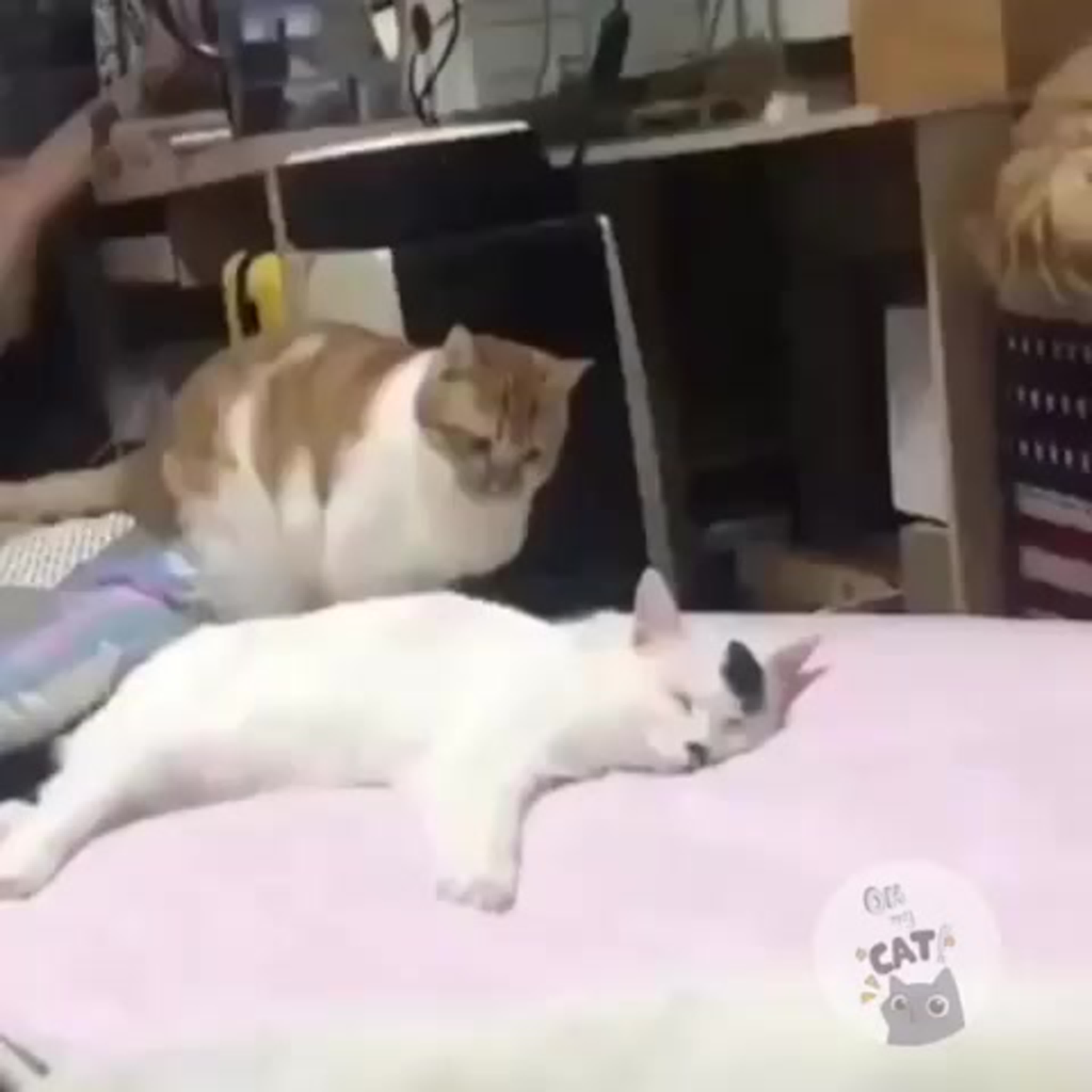 Нежданчик watch online