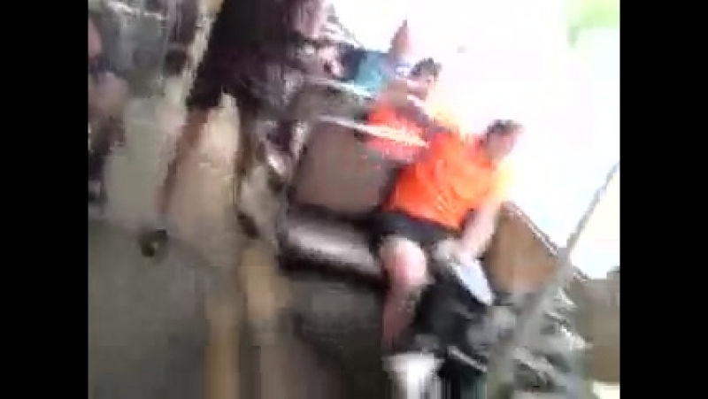 Выпал porn video – Выпал из автобуса