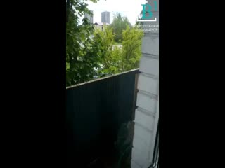 Улей на балконе 2