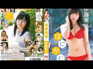 [lpfd 311] ito nene hanikamu (gravure dvd)