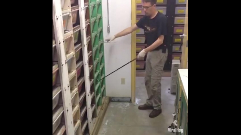 Кормежка скота