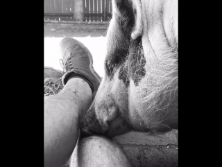 On instagram kendall schmidt "pig kisses" @yumapig1 kisses don't happen very often, so when they do i take em no matter how mud