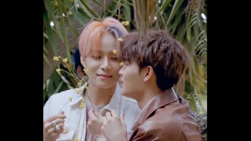 Kim fucking jungwoo what are you doing little gay
