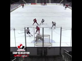 Пас кирби дака