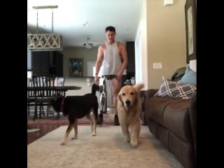 Jay fain bnj69nmahu0