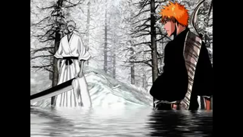 Sarugaki hiyori vs ichigo kurosaki