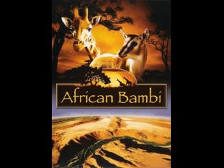 Африканский бэмби / african bambi