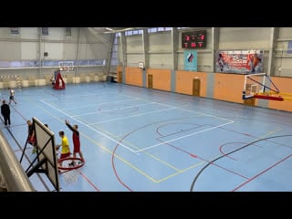 Ешкі мен қоймен жыныстық қатынас