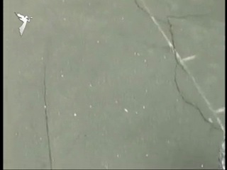 Рідні люди віль і марина гримичі