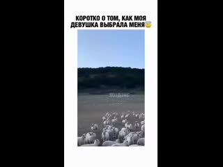 Video povezlo stories 2455280376833422394 14 2455417378203595122 mp4