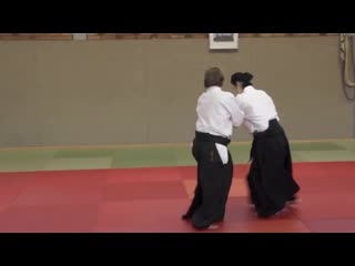 Aikido okamoto yoko sensei seminar in offenbach 2014