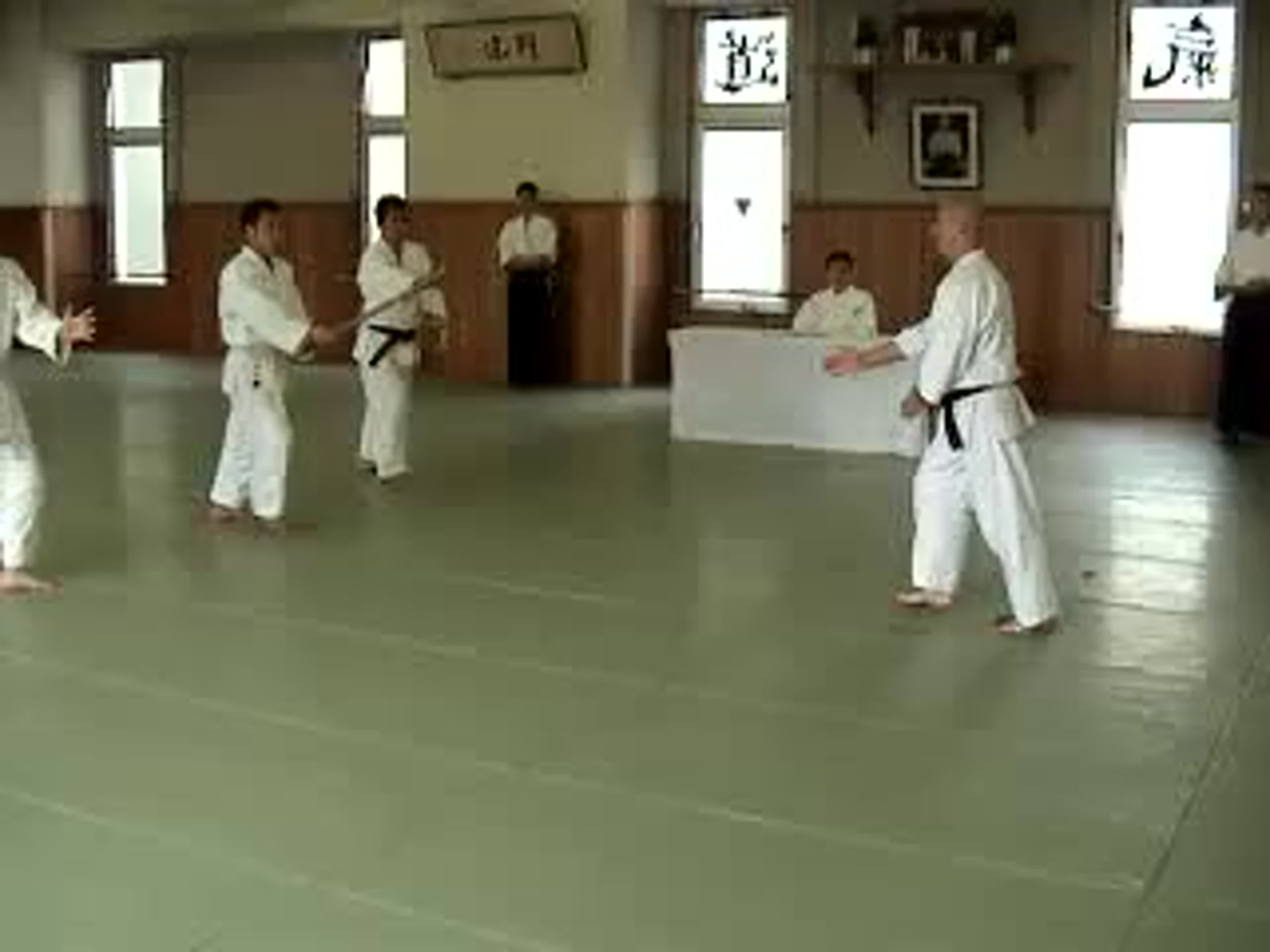 Sanin dori juwaza