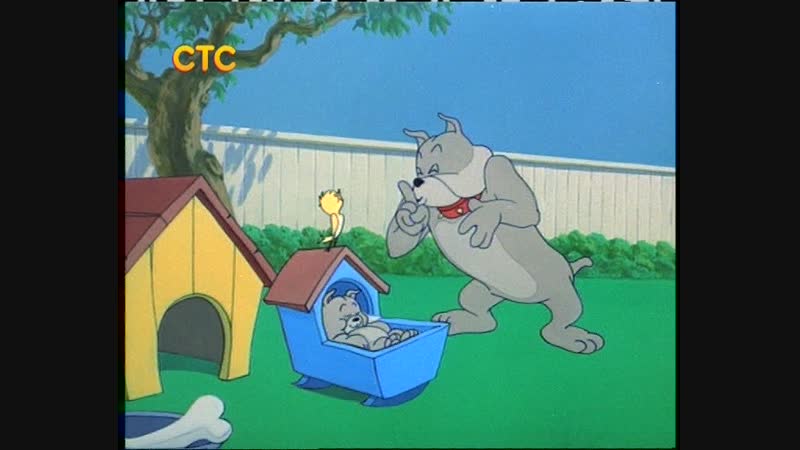 Щенок,который всё время икал