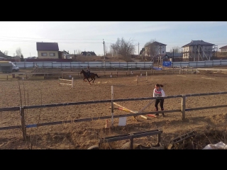 Конкурные тренирои даши