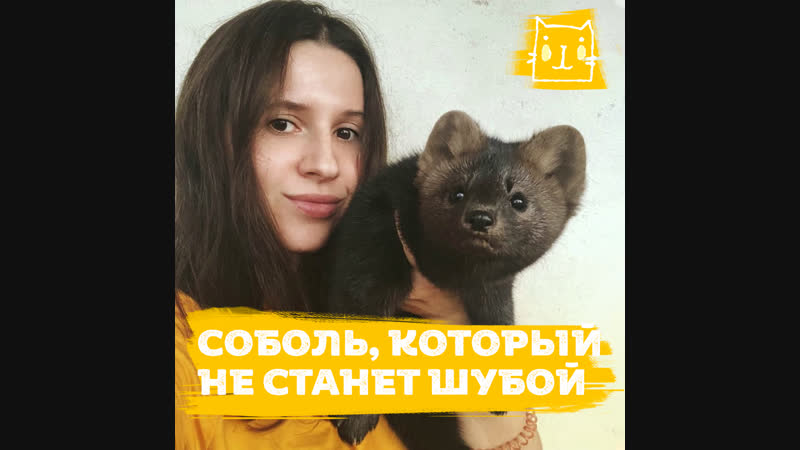Девушка спасла соболя из зверофермы