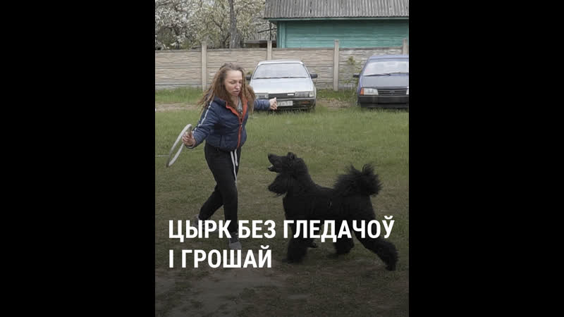 «вярблюд за дзень зьядае 20 кг» | цырк шапіто без гастроляў