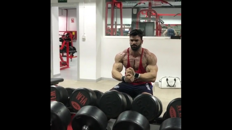 Sergi constance грудь