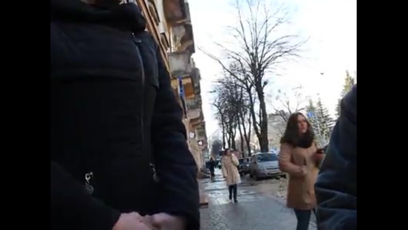 Повернення хворої кішки в cat cafe