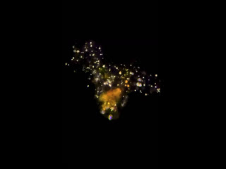 Классная амеба